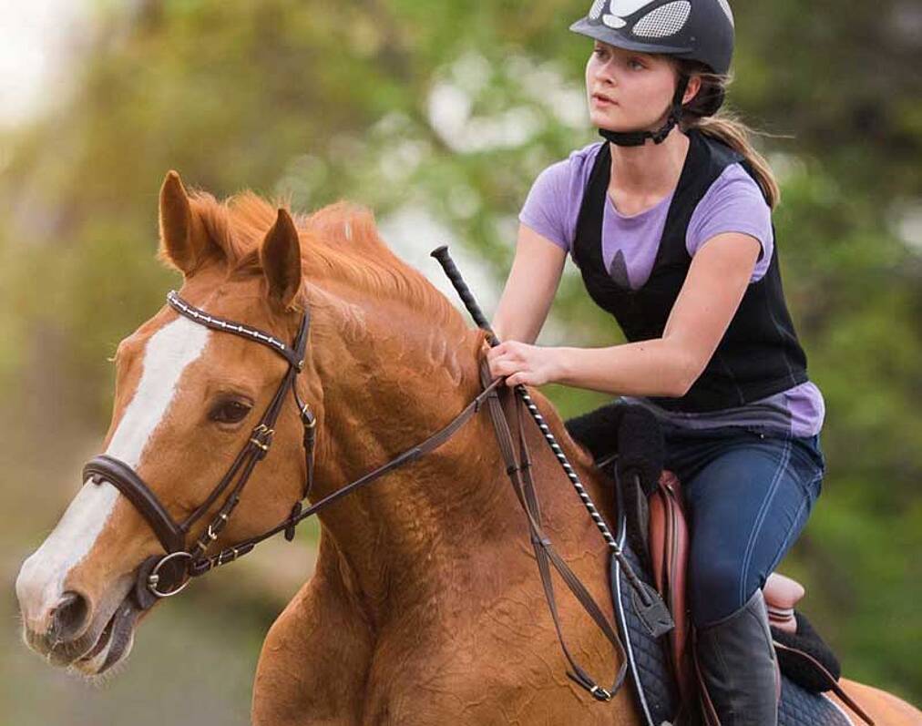 Reitsport